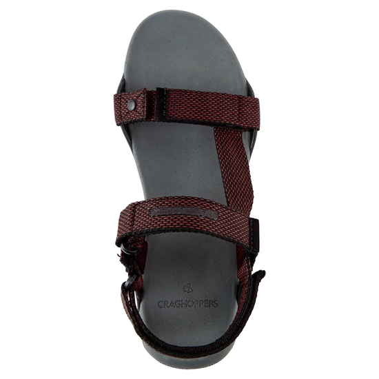 Men's Locke Sandals | Dark Grey / Pompeian Red