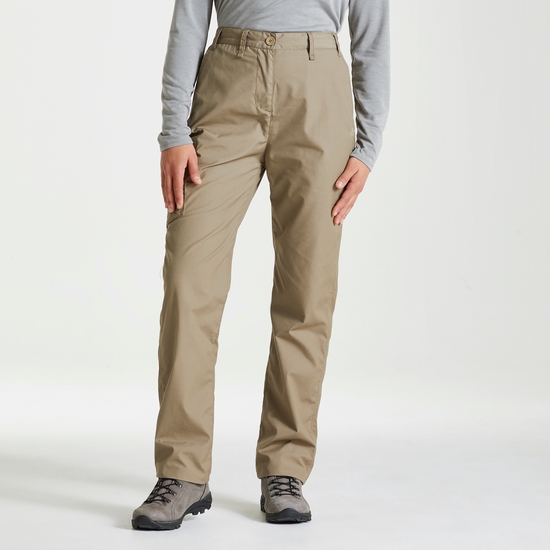 Expert Womens Kiwi Trousers | Pebble