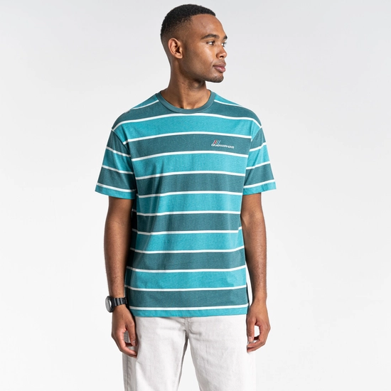 Ventura Short Sleeved T-Shirt | Sacramento Green Stripe