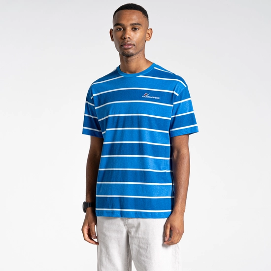 Ventura Short Sleeved T-Shirt | Falls Blue Stripe
