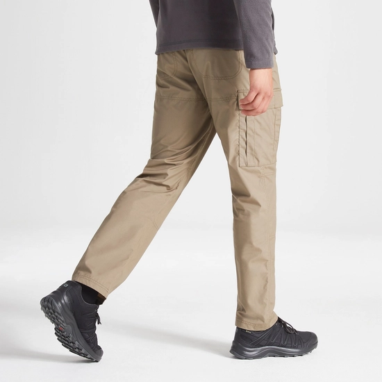 Expert Kiwi Tailored Trousers | Pebble