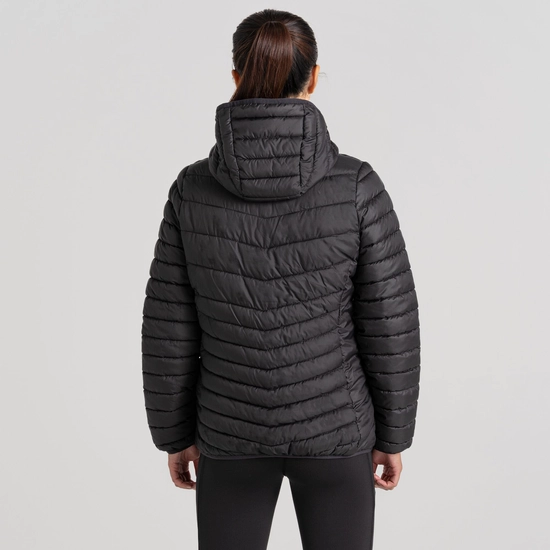Women's Compresslite VIII Hooded Jacket | Black
