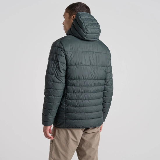 Men's Compresslite VIII Hooded Jacket | Spruce Green / Sea Green