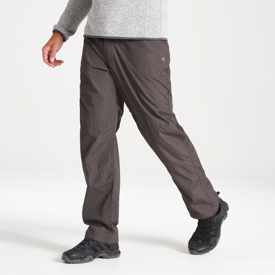 Men's Kiwi Classic Trousers | Bark