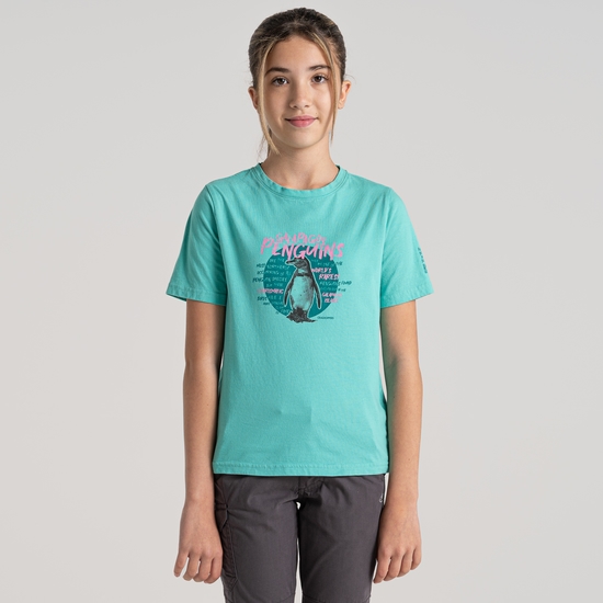 Kid's Ellis Short Sleeved T-Shirt | Ocean Green Penguin