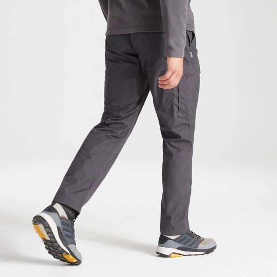 Expert Kiwi Tailored Trousers | Carbon Grey