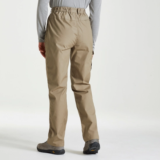 Expert Womens Kiwi Trousers | Pebble