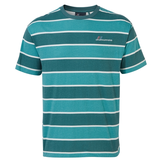 Ventura Short Sleeved T-Shirt | Sacramento Green Stripe