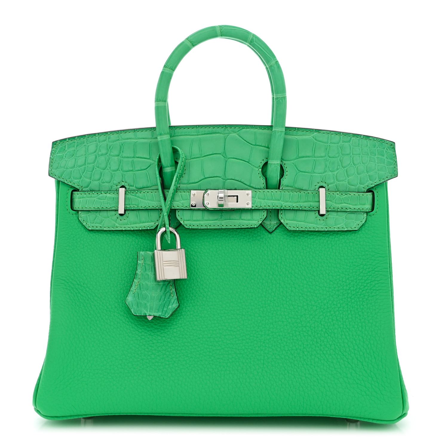 Togo Matte Alligator Birkin Touch 25 Vert Comics
