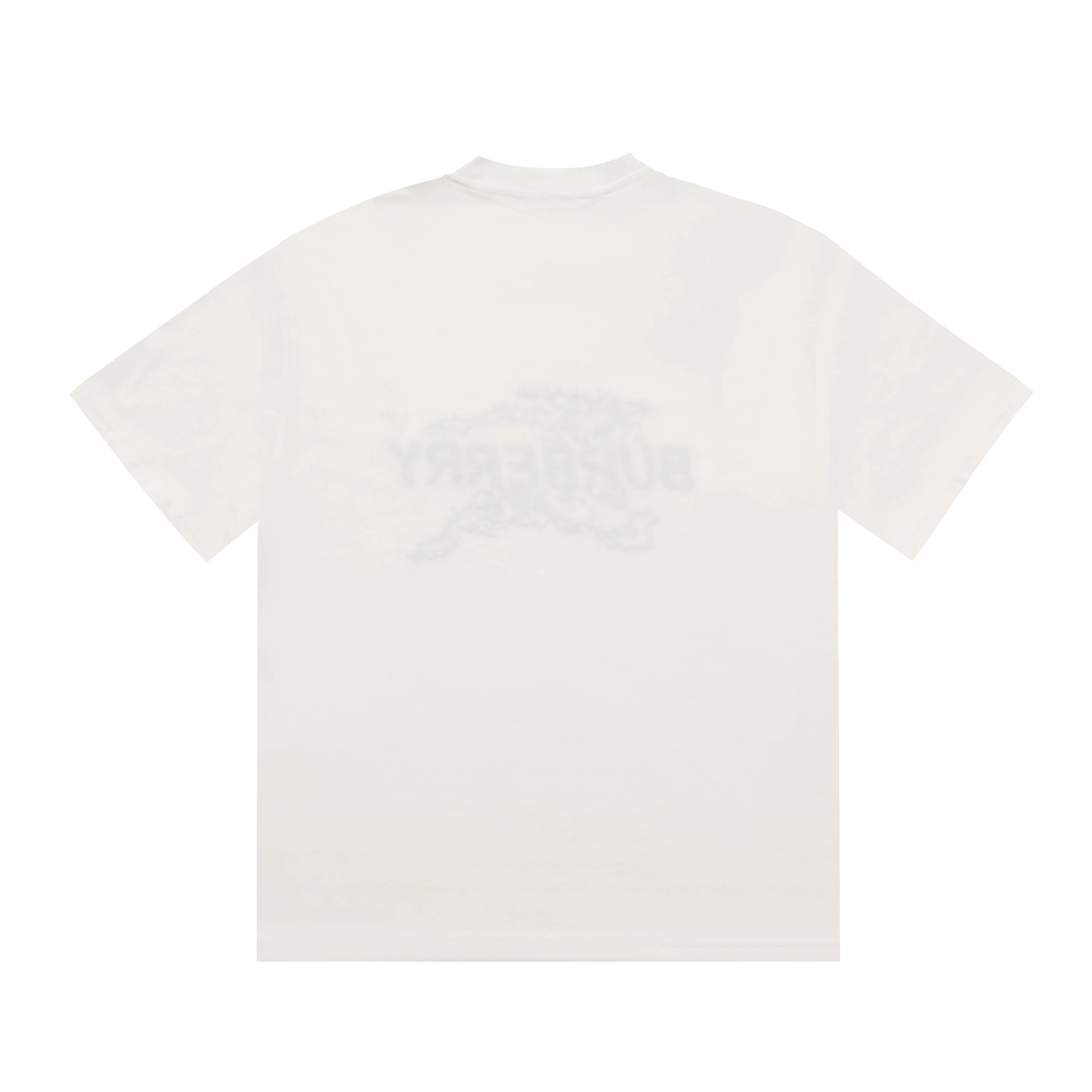 Printed T-Shirt: High-End Fashion Statement-1184