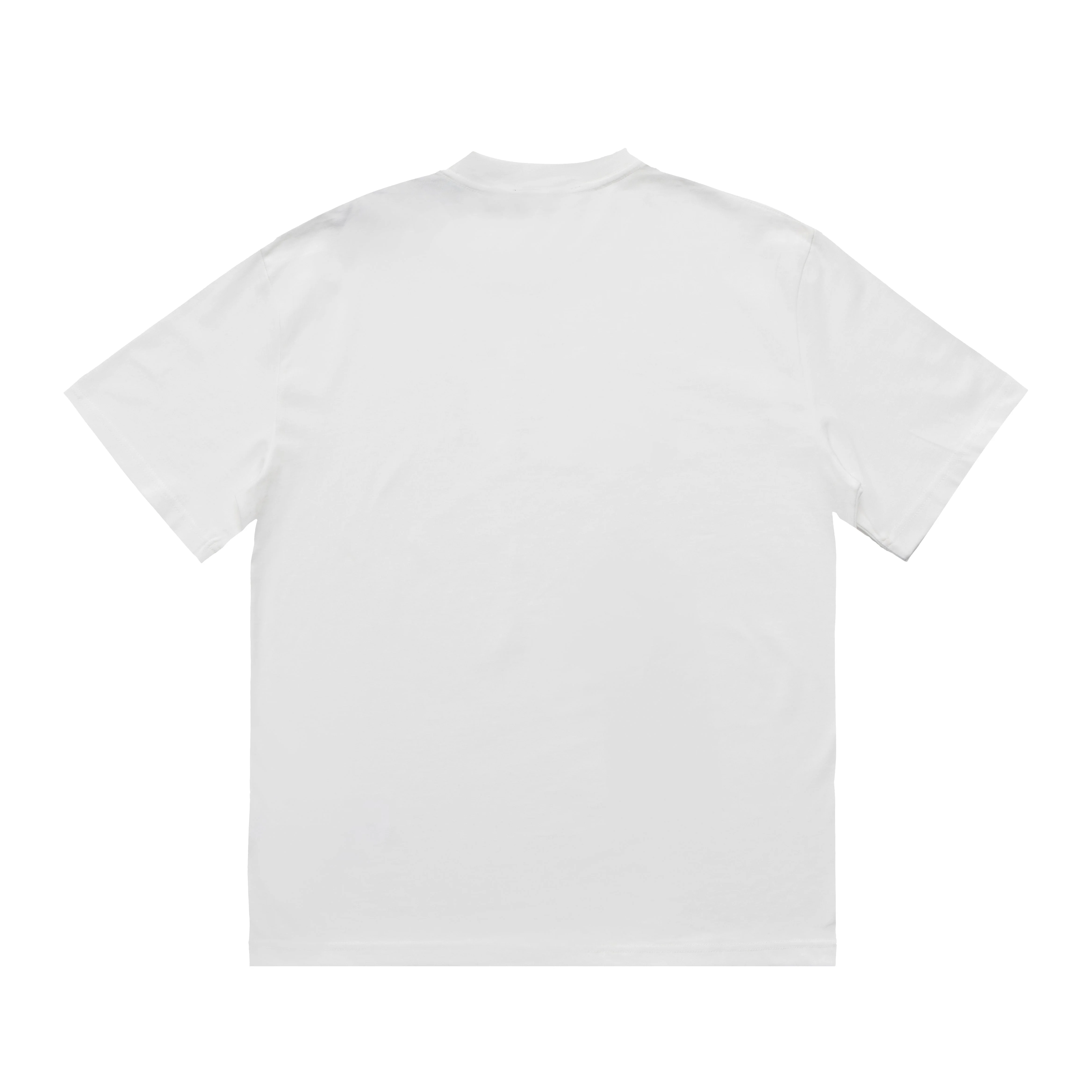 Printed T-Shirt: High-End Fashion Statement-1024