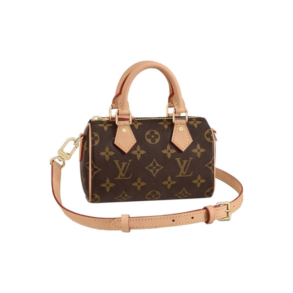 Louis Vuitton Mini Nano Speedy