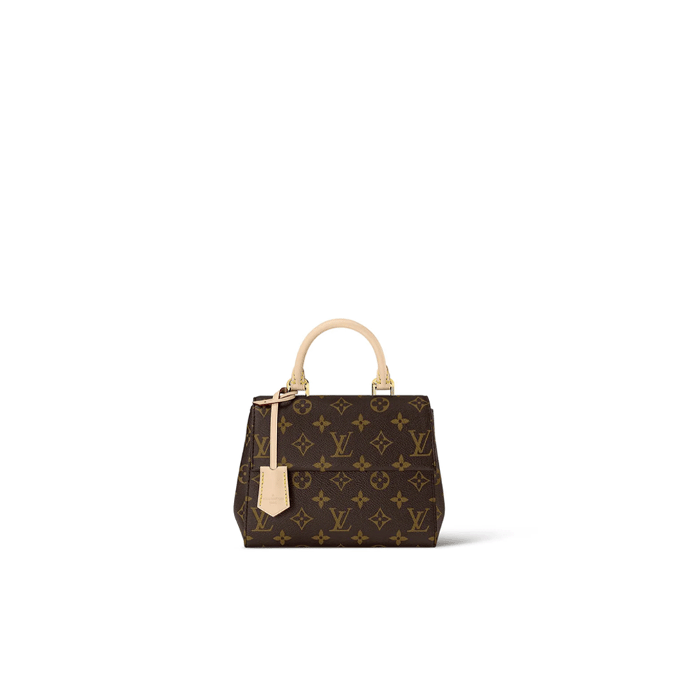 LV Cluny Bag