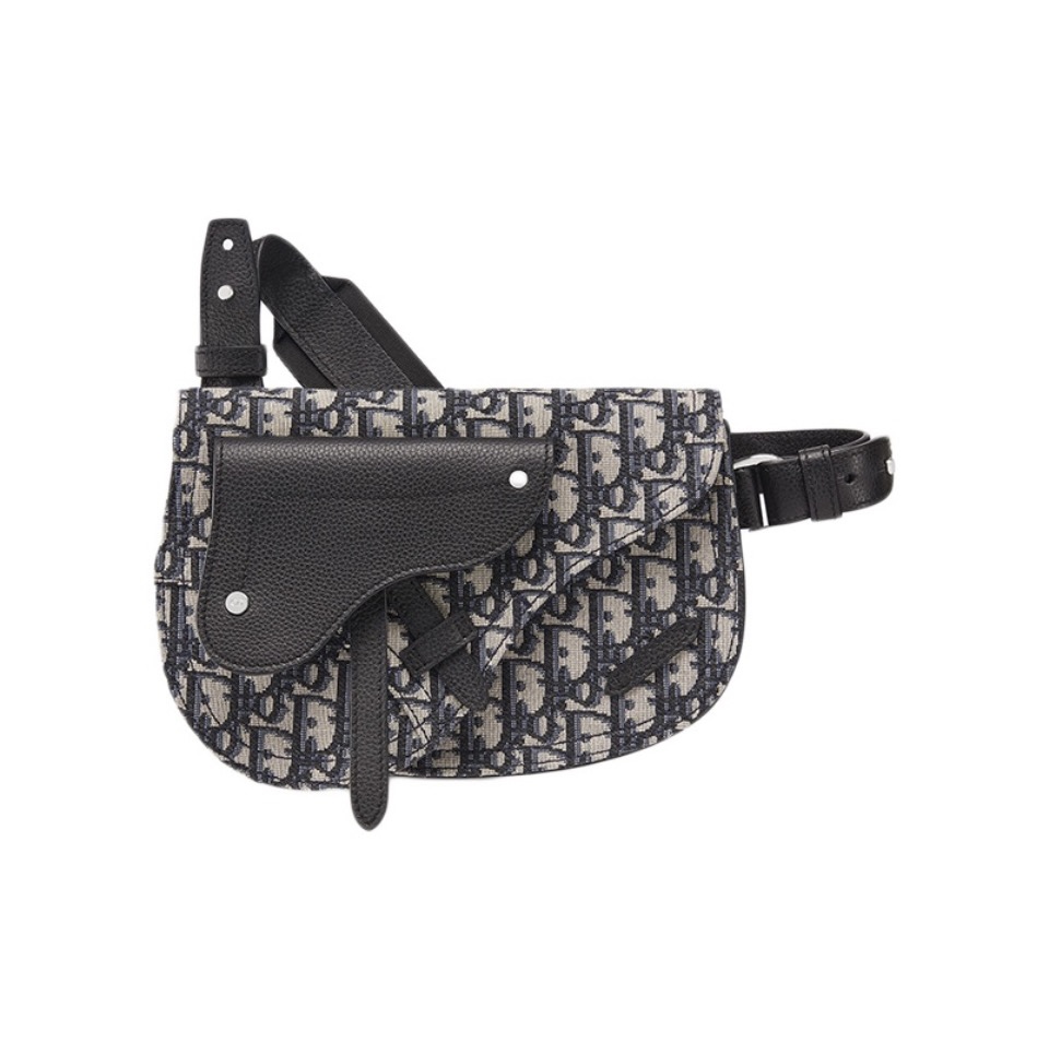DIOR Saddle  Embroidery Crossbody Bag (Replica)