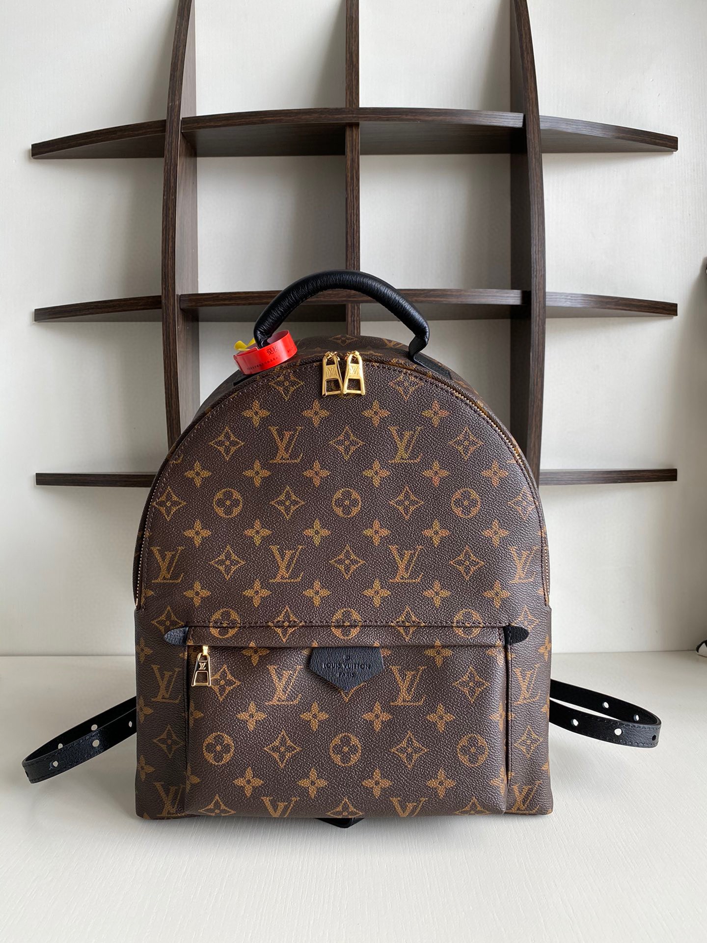 Louis Vuitton Bag backpack