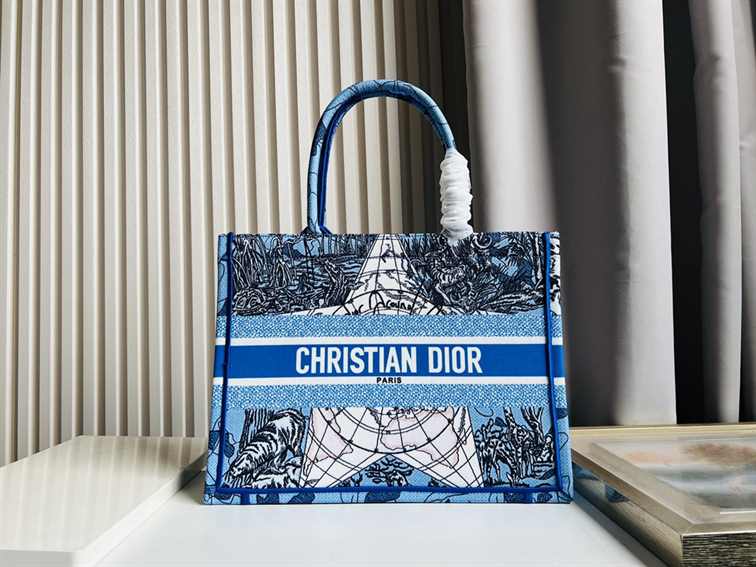 Dior Small Book Tote Earth Pattern replica