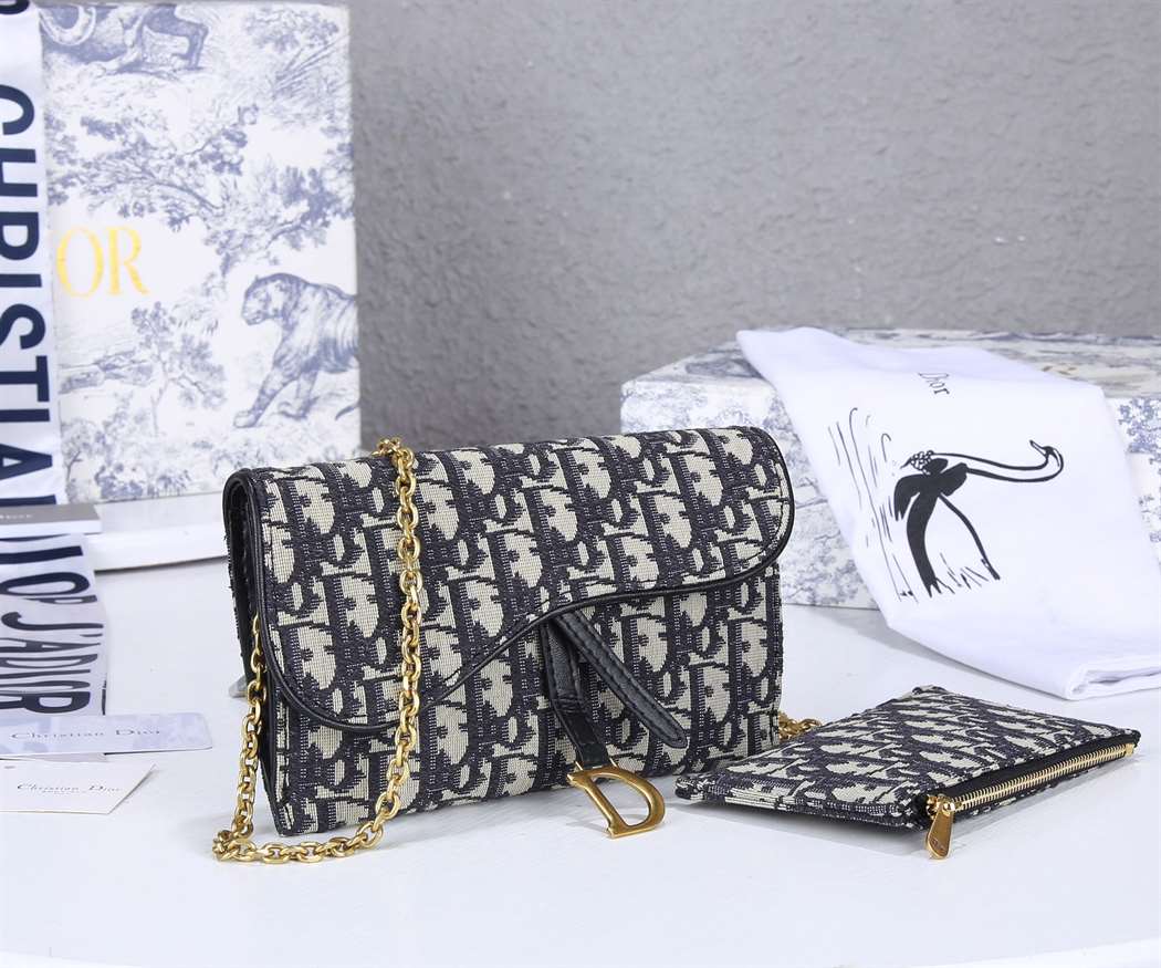 Dior Long Saddle Wallet With Chain replica