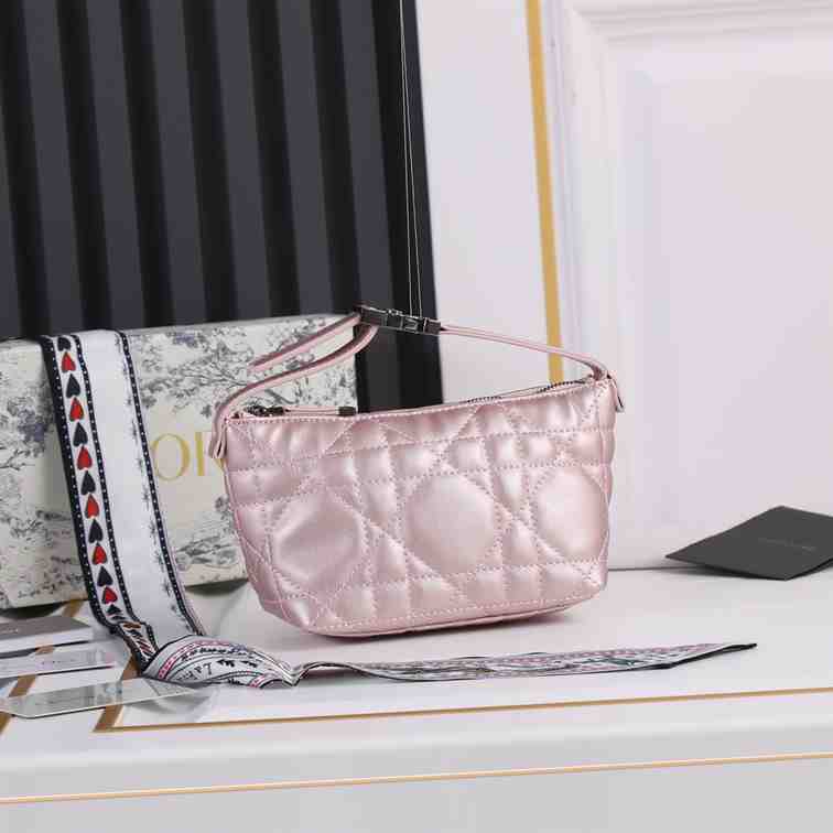 Dior Medium Travel Nomad Pouch replica