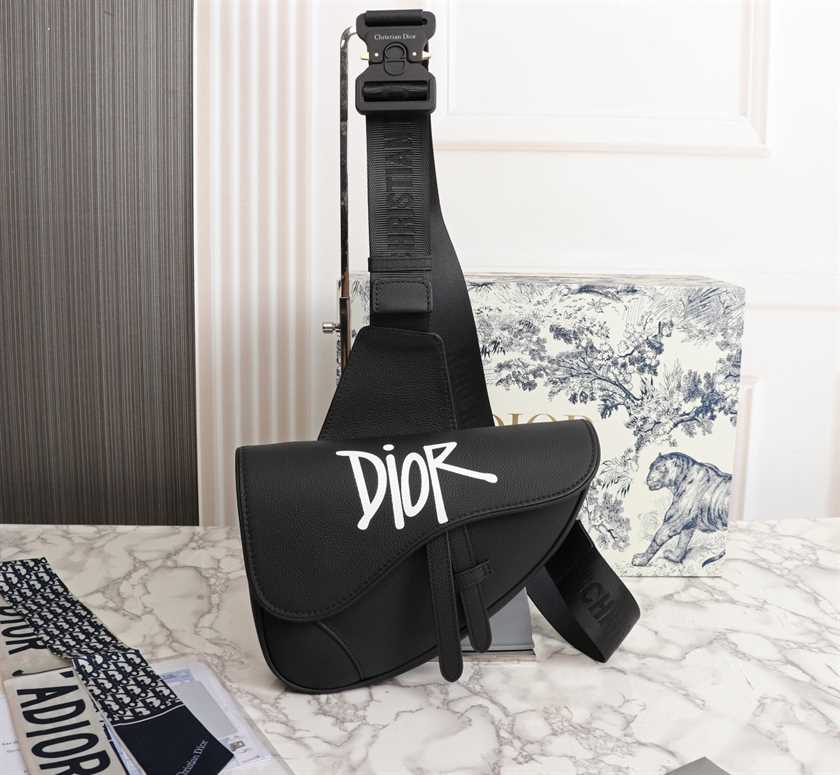 Dior X Kaws Saddle Bag replica