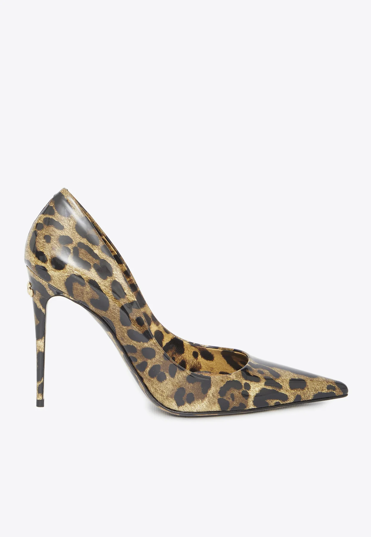 Dolce Gabbana Lollo 105 Leopard Print Pumps