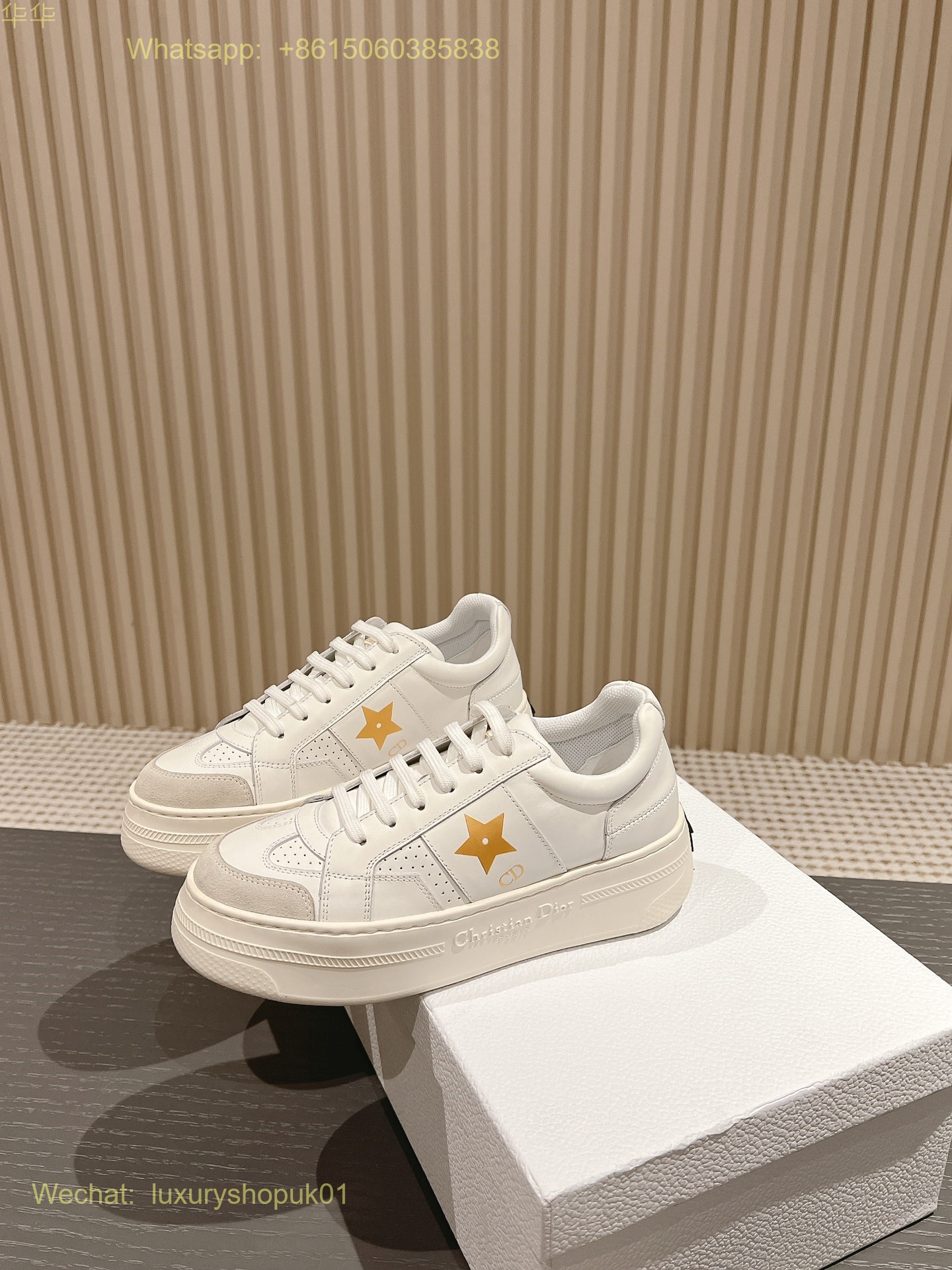 Dior Star Sneaker Women Shoes