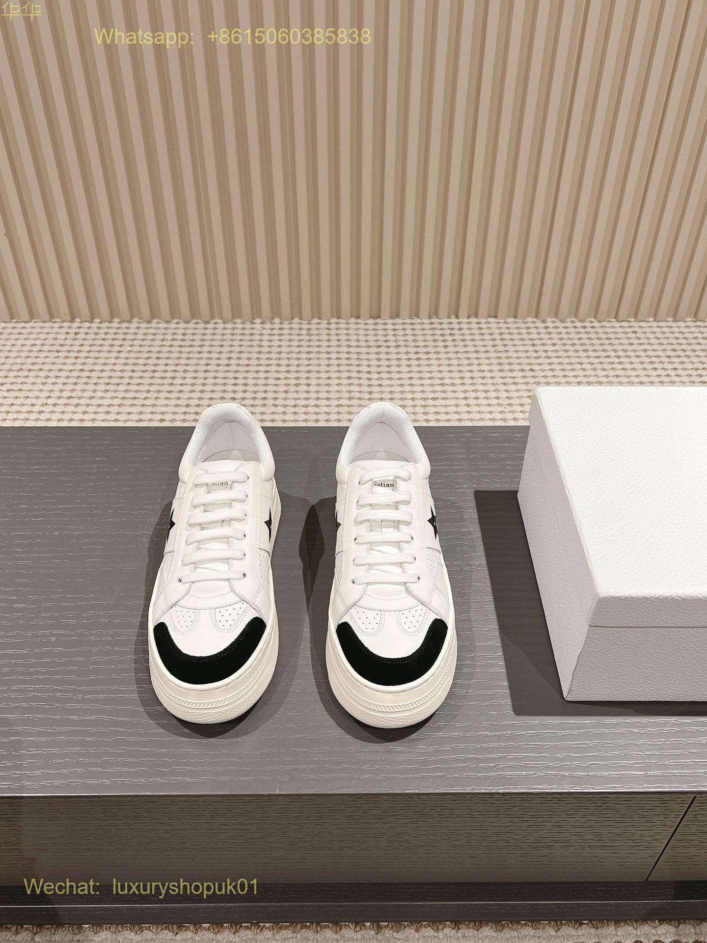 Dior Star Sneaker Women Shoes