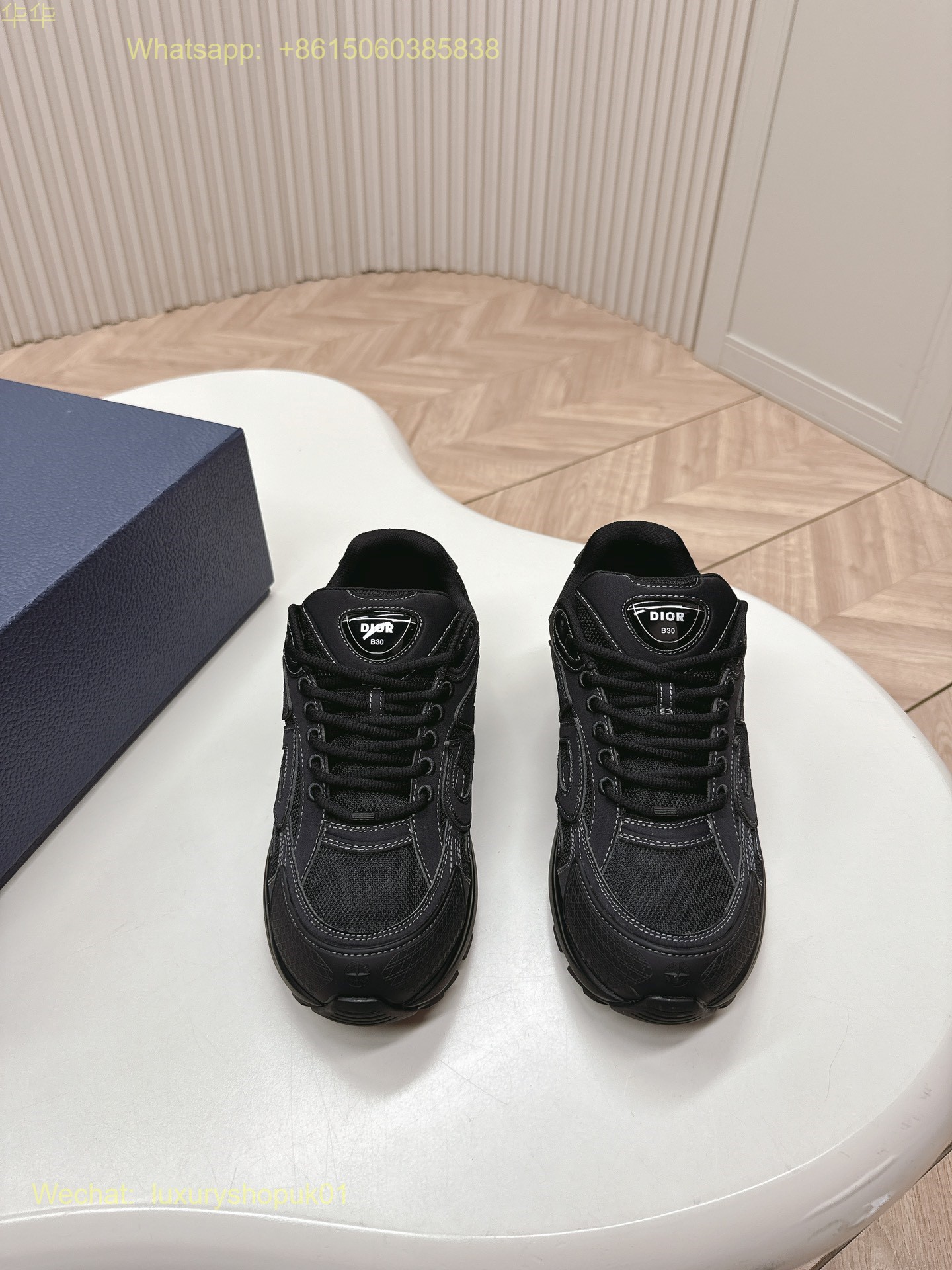 Dior B30 Sneaker Mens Shoes