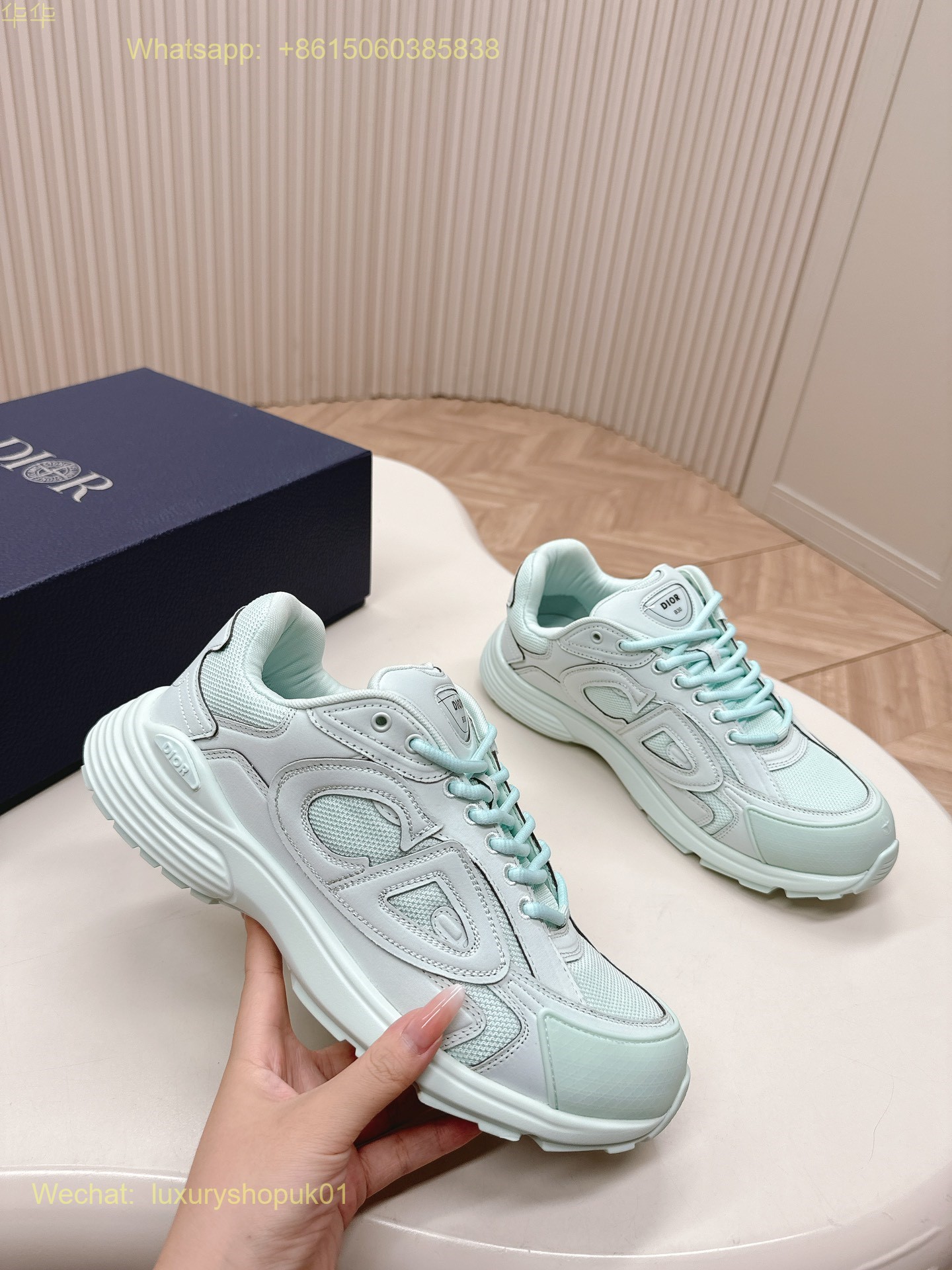 Dior B30 Sneaker Mens Shoes