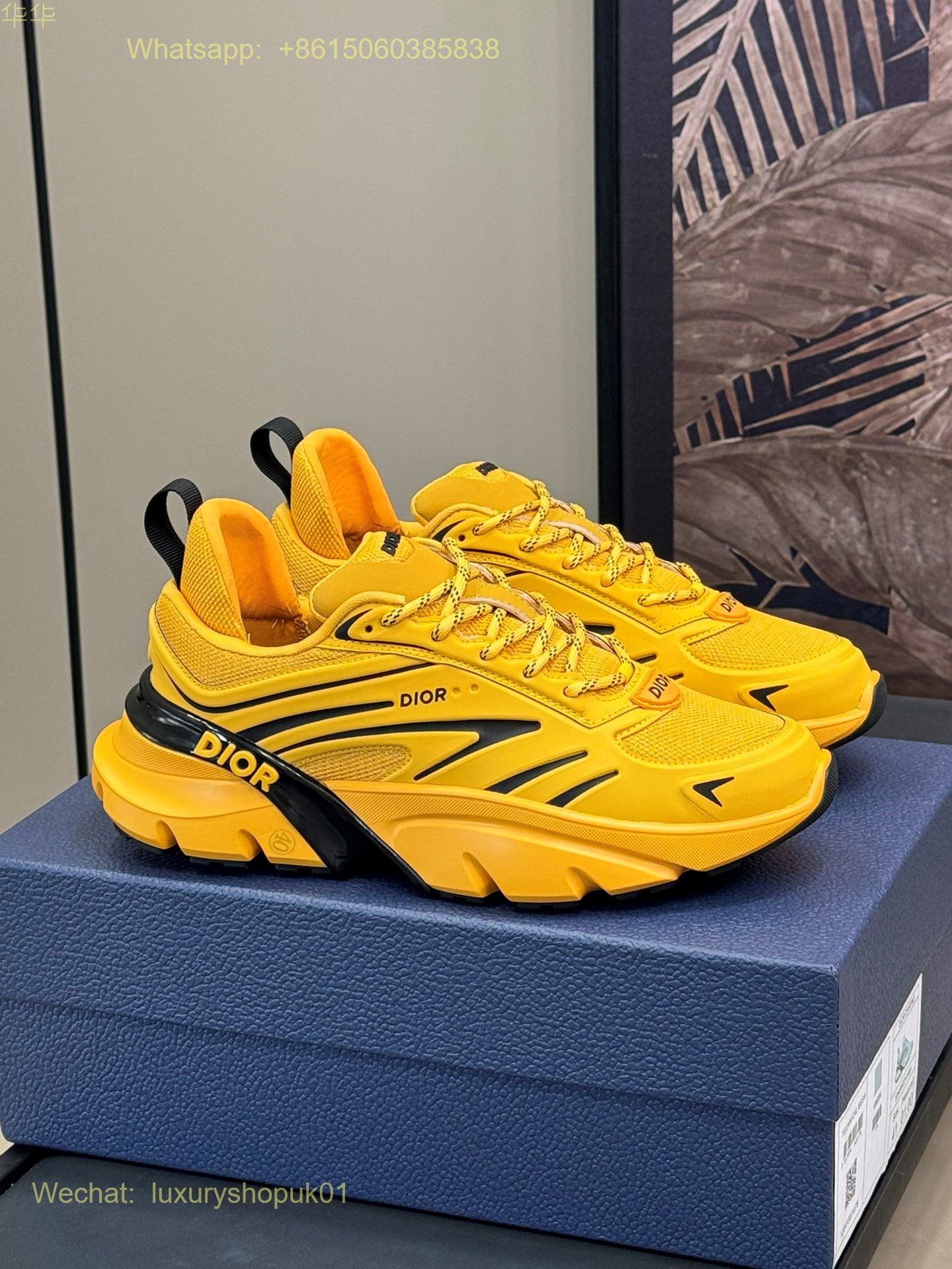 Dior Lewis Hamilton B44 Blade Sneaker Mens Women Shoes