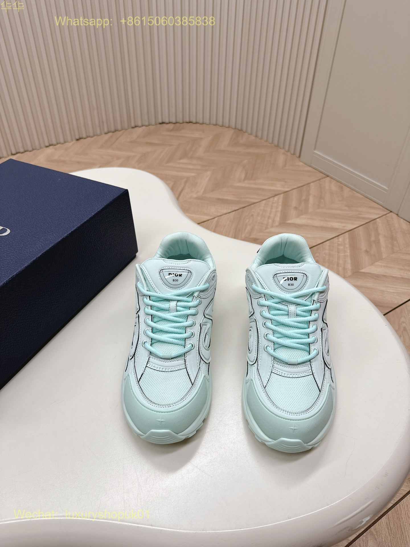 Dior B30 Sneaker Mens Shoes