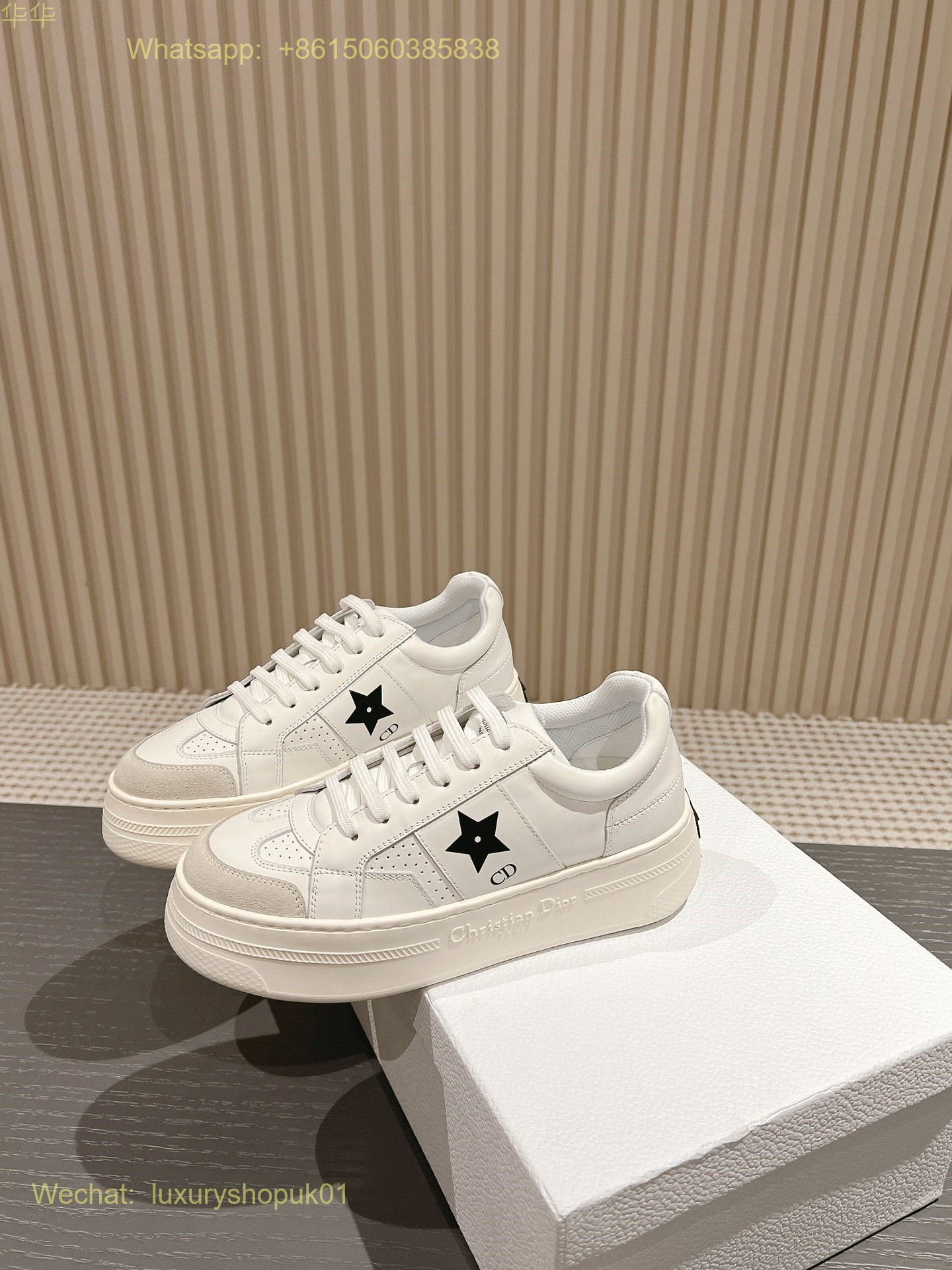 Dior Star Sneaker Women Shoes