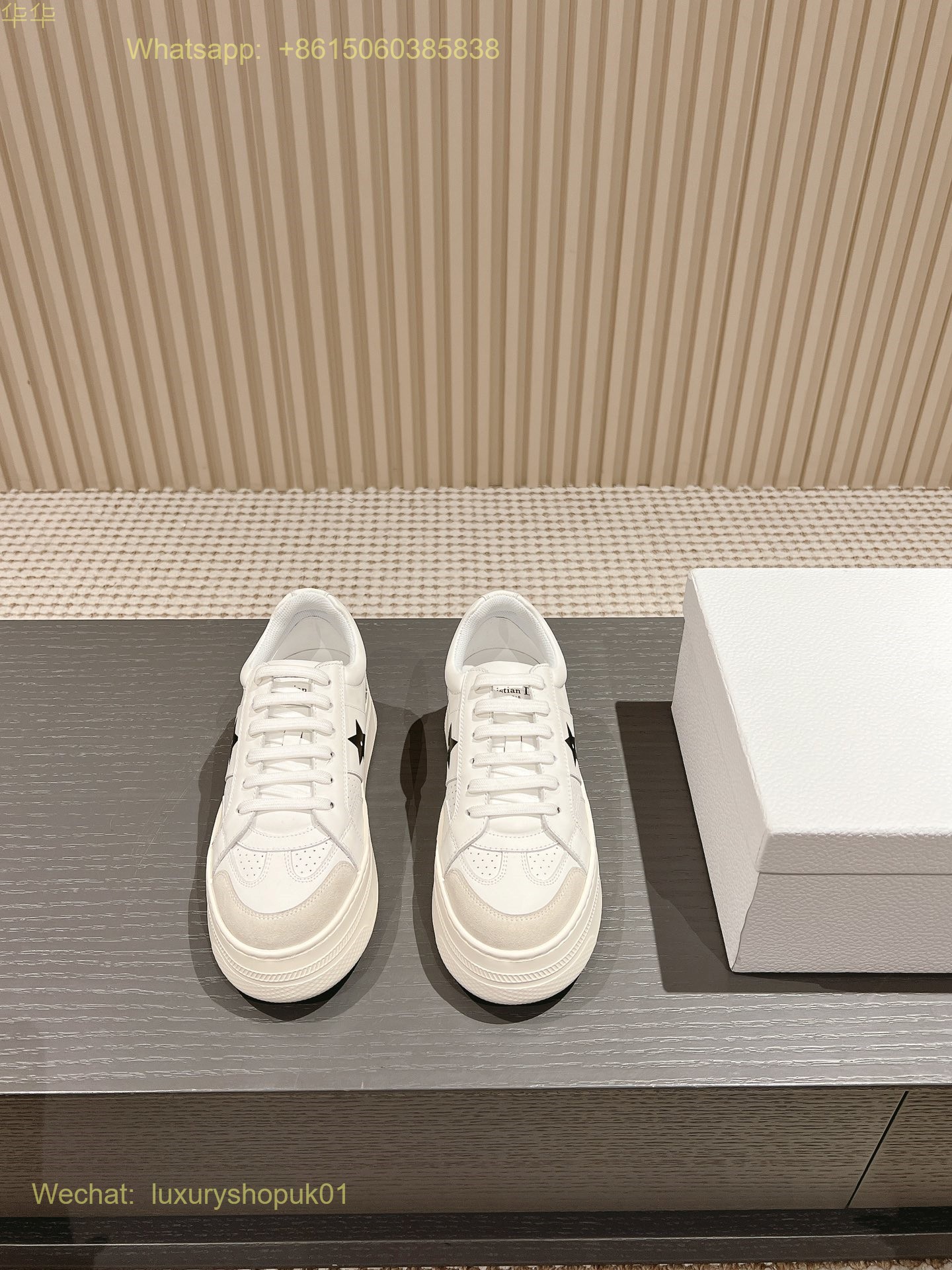 Dior Star Sneaker Women Shoes