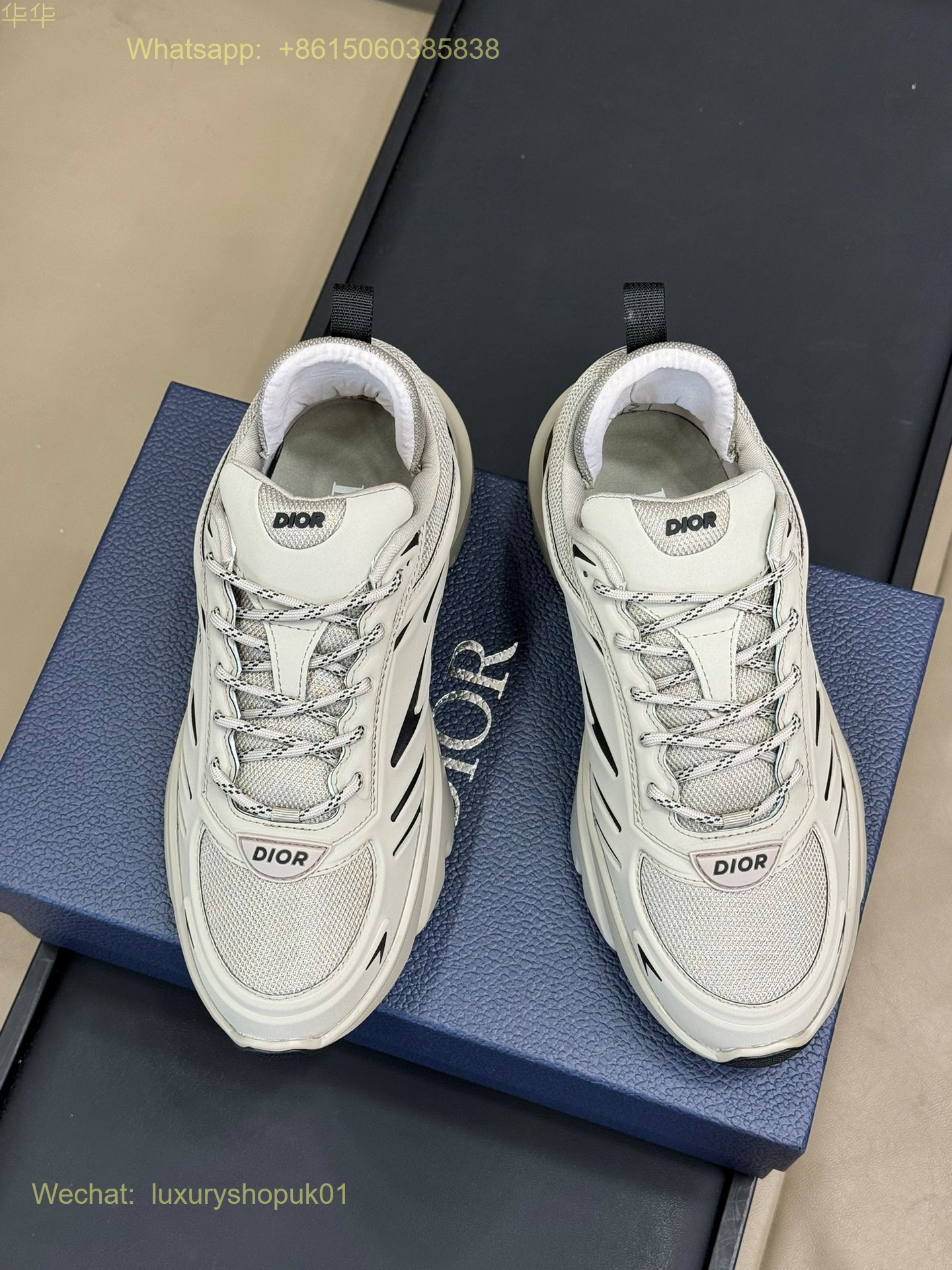 Dior Lewis Hamilton B44 Blade Sneaker Mens Women Shoes