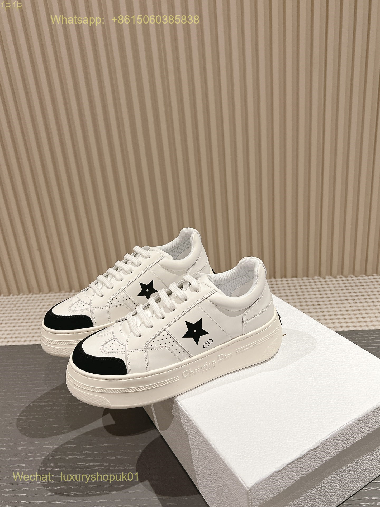 Dior Star Sneaker Women Shoes