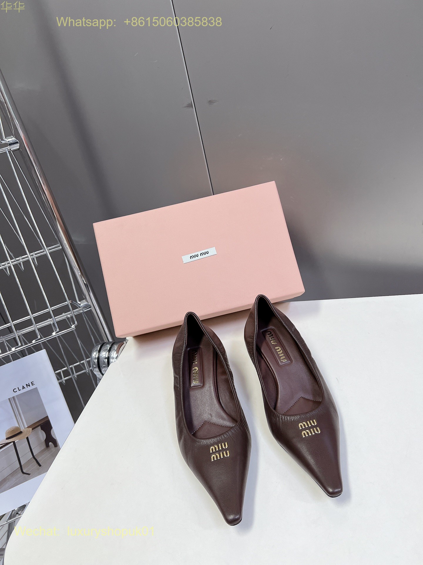 Miu Miu Pointed-Toe Pumps Women Shoes