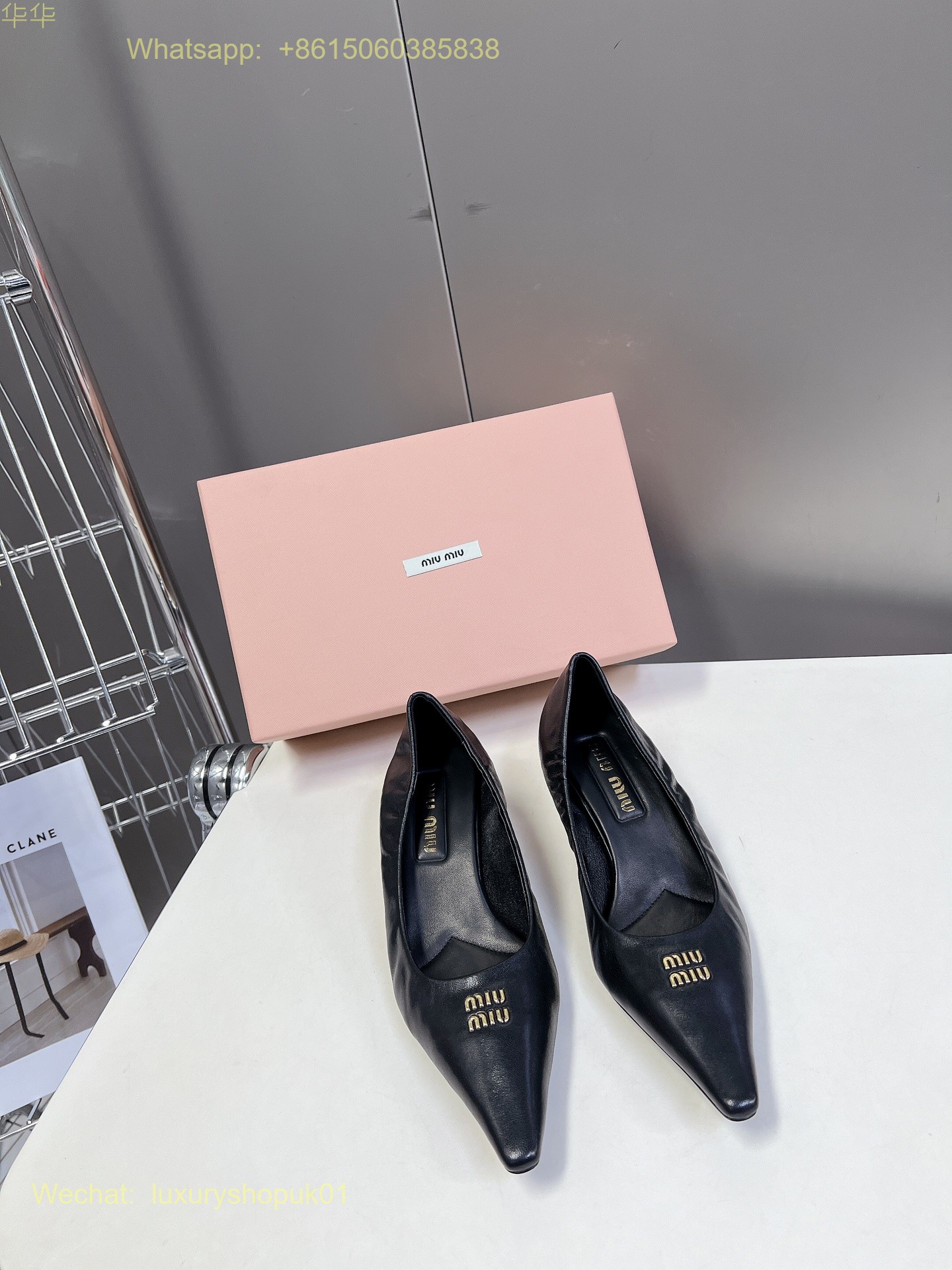 Miu Miu Pointed-Toe Pumps Women Shoes