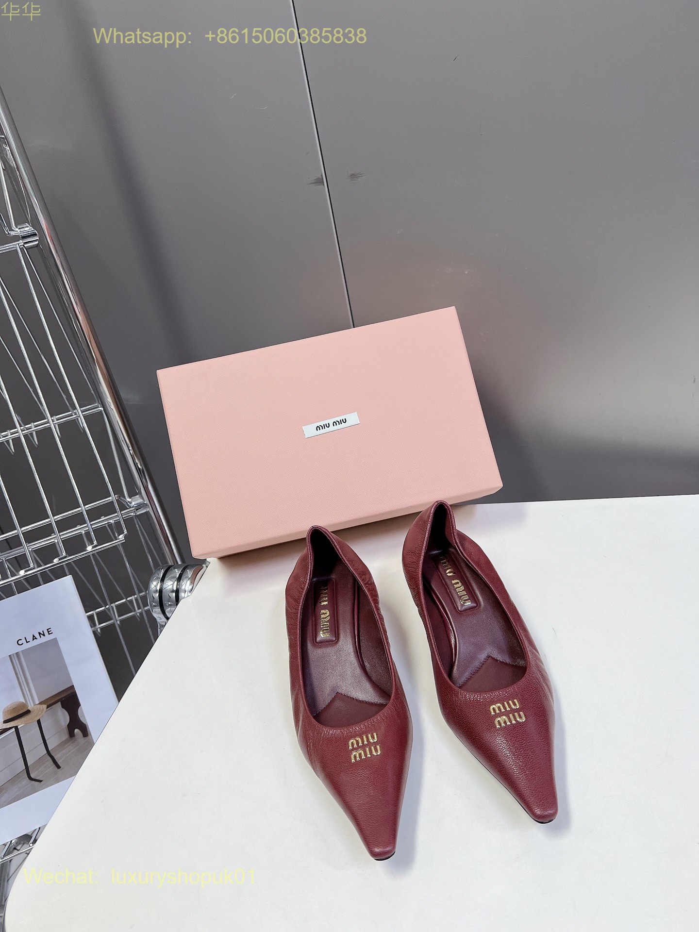 Miu Miu Pointed-Toe Pumps Women Shoes