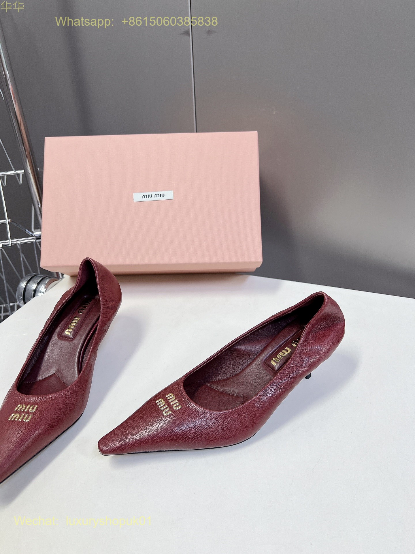 Miu Miu Pointed-Toe Pumps Women Shoes