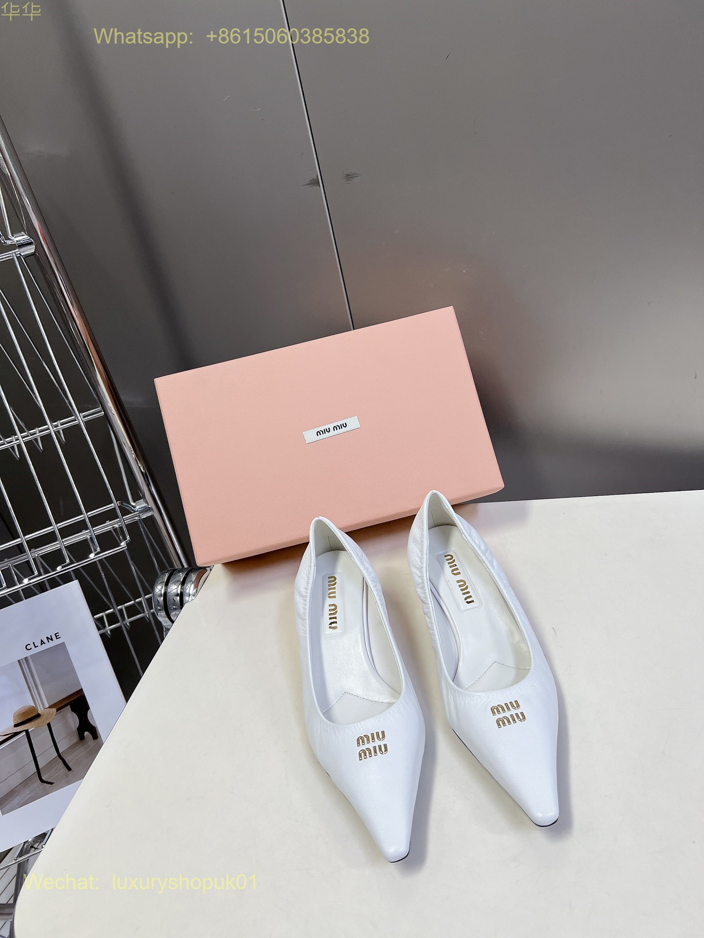 Miu Miu Pointed-Toe Pumps Women Shoes