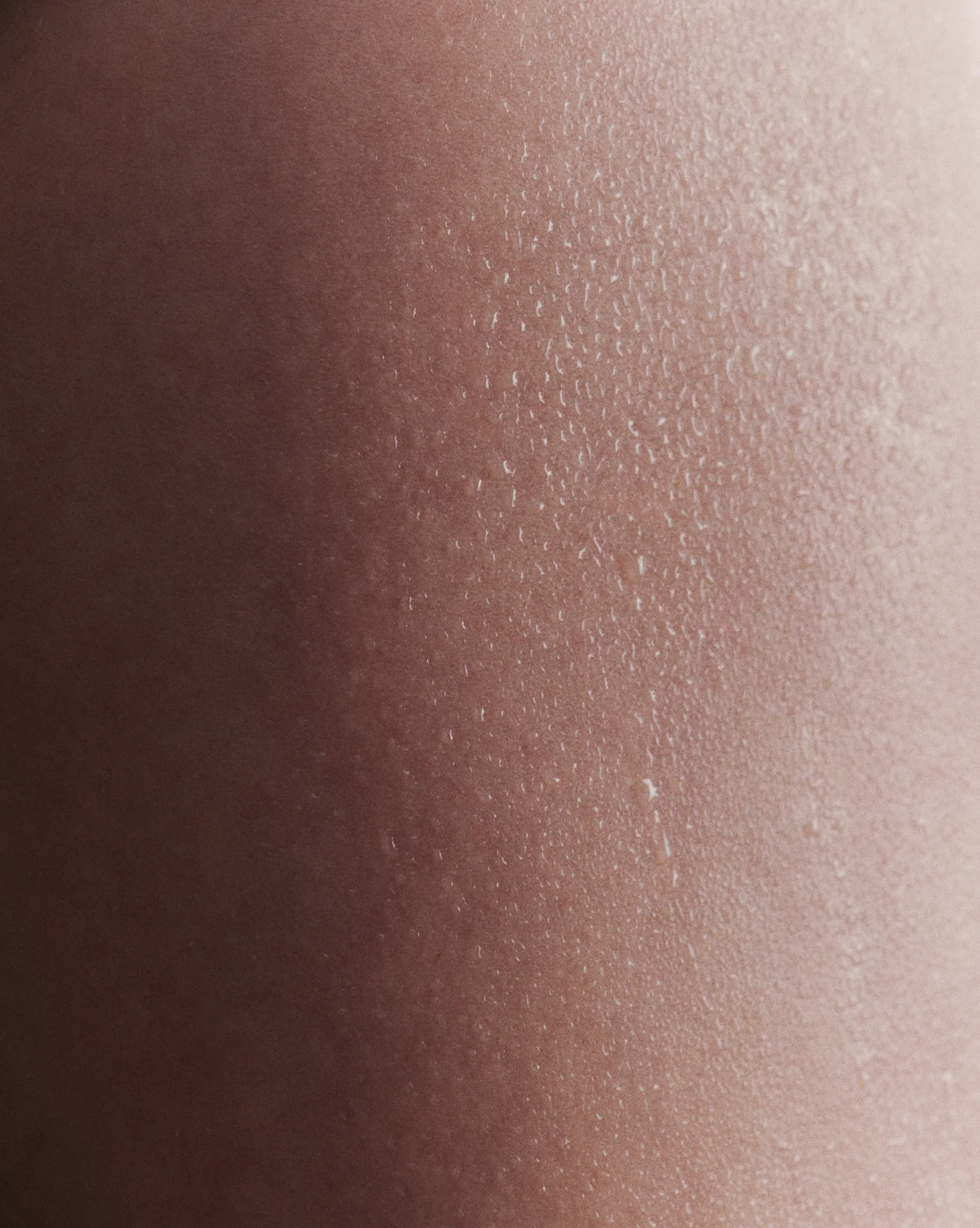 Crème de You + Glossier You