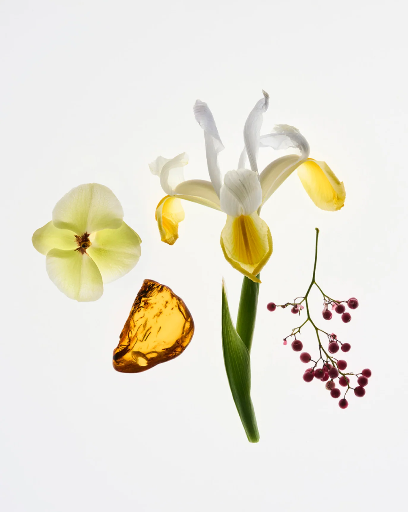 Rêve + You Travel Spray