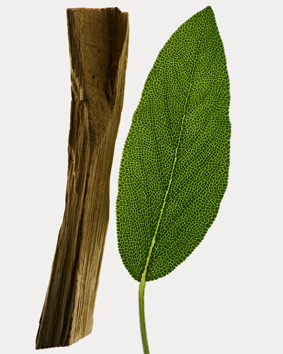 Deodorant Refill Stick