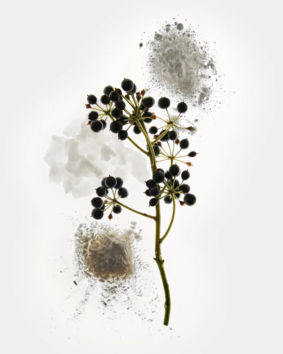 Deodorant Refill Stick