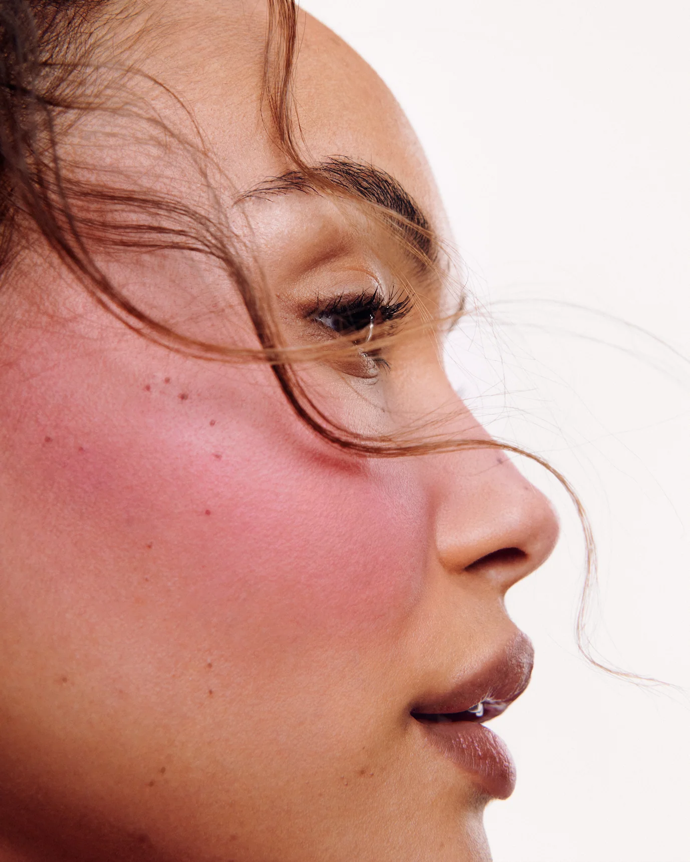 Cloud Paint Plush Blush