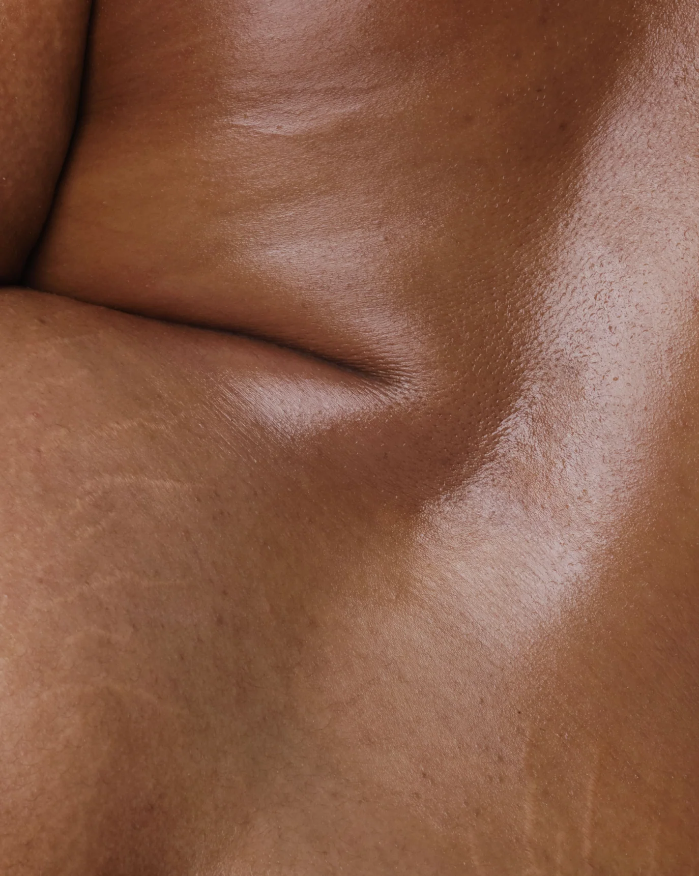 The Complete Body Hero Collection