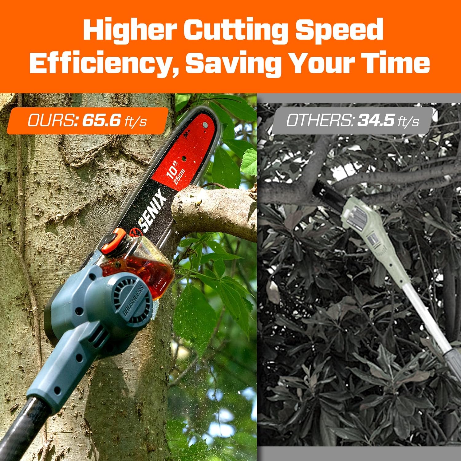 SENIX 10 X6 60V Pole Saw – 14ft Reach, Carbon Fiber, 65.5ft/s | Pruning & Trimming (CSPX6-M)