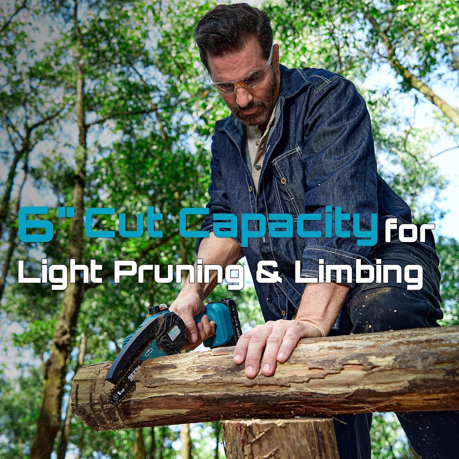 SEESII PS600: 2-in-1 Pole Saw & Mini Chainsaw – Cordless, 6