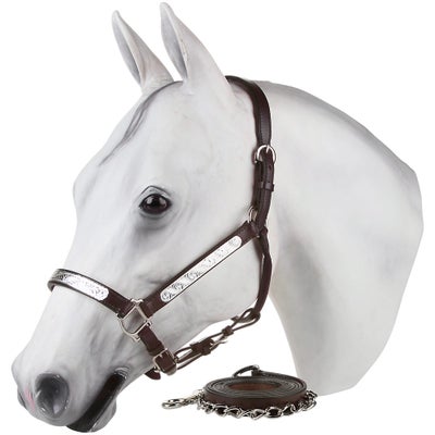 Ariat Tory Oklahoma Western Show Halter & Lead Yearling