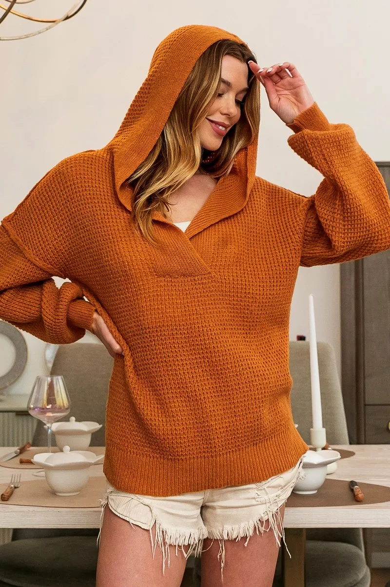 BiBi Raw Edge Detail V-Neck Sweater Hoodie