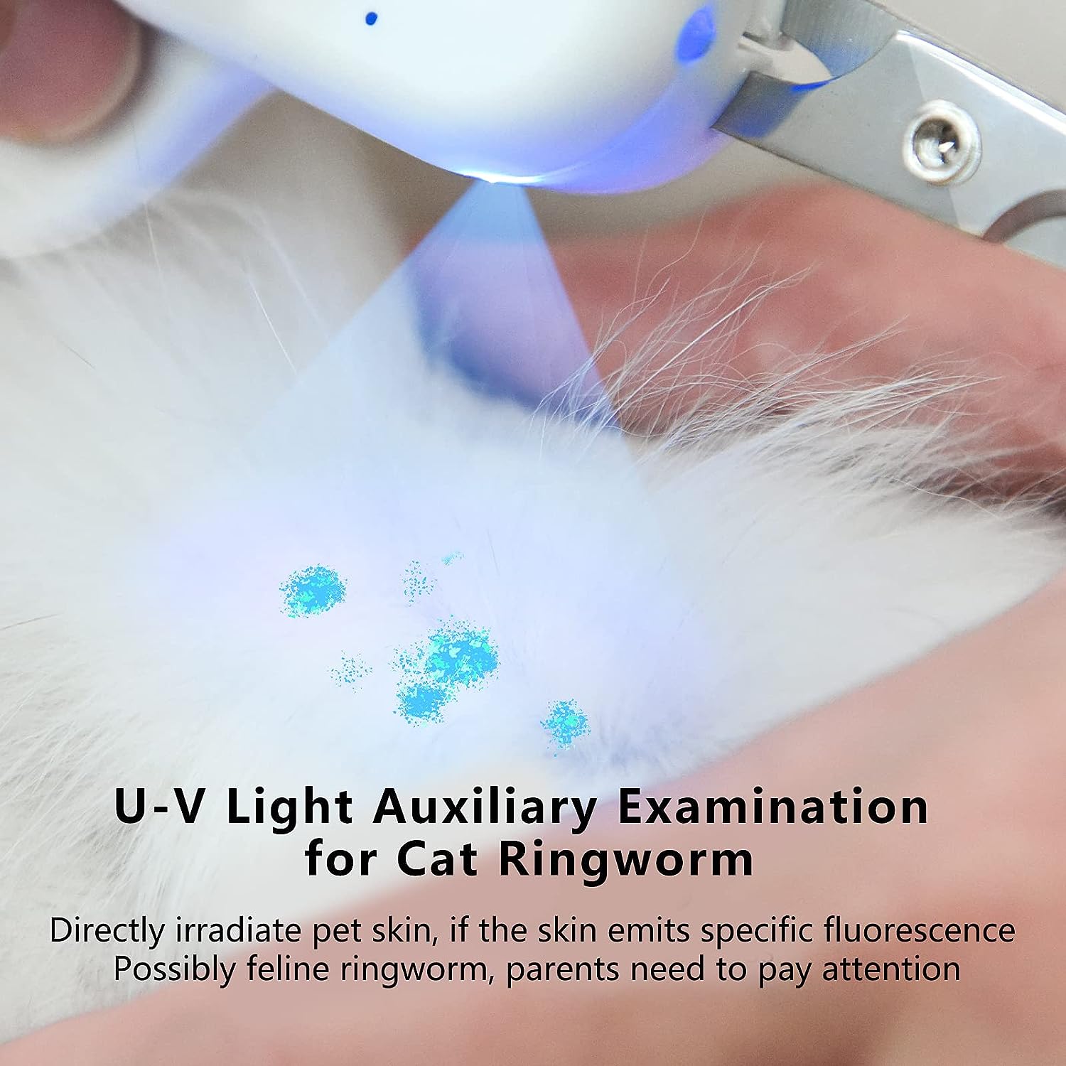 PAKEWAY Pet Nail Clipper with LED & -U-V Light